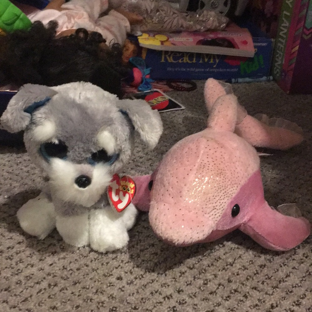 Two cute little animals once a while once a dog
